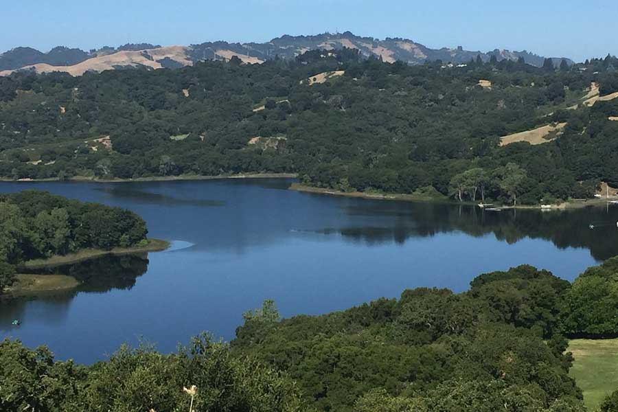 Mental Health Treatment in Lafayette, CA