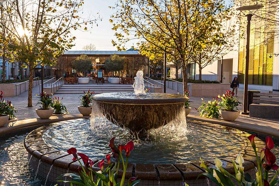 Mental Health Treatment in Walnut Creek, CA