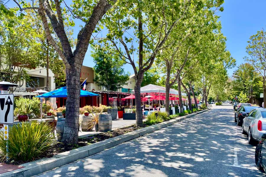 Mental Health Treatment In Menlo Park, CA