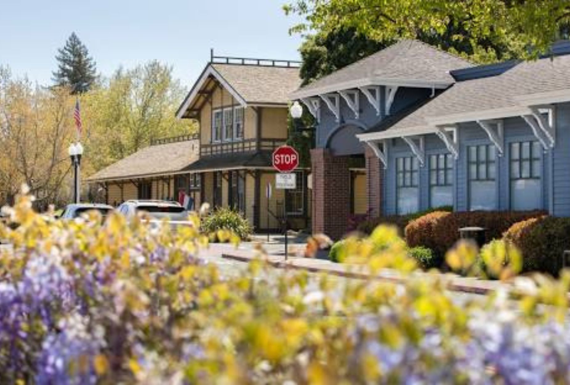 Mental Health Treatment In Danville, CA